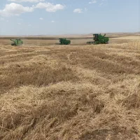 3عدد کمباین جاندیر صفر آماده برداشت محصولات کشاورز