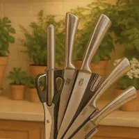 ست 6 تکه چاقو و ساطور استیل آشپزخانه|ظروف سرو و پذیرایی|گنبد کاووس, |دیوار