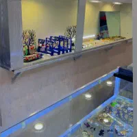 اکسسوری انگشتر۱۰۰هزار|بدلیجات|کرمانشاه, |دیوار