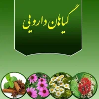 کار با گوشی برای بانوان