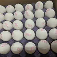 پخش و فروش عمده تخم مرغ|خوردنی و آشامیدنی|تهران, مینابی|دیوار