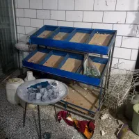 جا میوه ای