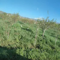 راهنمایی