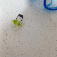 عینک شنا|غواصی و ورزش‌های آبی|ملایر, |دیوار