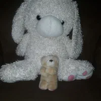 اسباب... بازی سالم|اسباببازی|ساری, |دیوار