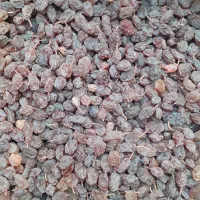 کشمش خوشمزه و گوشتی