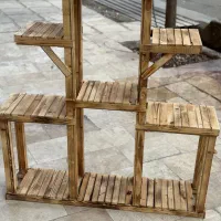 فروشی|گل و گیاه طبیعی|قم, سعادتی|دیوار