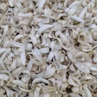 گل برگ پاک شده بهار نارنج