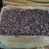 خرما نمونه و ارگانیک|حراج|حاجی آباد, |دیوار