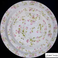 ظروف پذیرایی