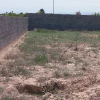 زمین ملکی با کاربری ازاد و سند ششدانگ