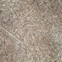 یک تن کاه یونجه|عمدهفروشی|رودخانه, |دیوار