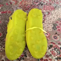 کفش|کیف، کفش، کمربند|دورود, |دیوار