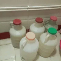 دبه خالی|ظروف نگهدارنده، پلاستیکی، یک‌بارمصرف|ماکو, |دیوار