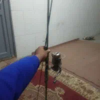 لنسر ماهی گیری|ماهیگیری|اصفهان, ناصرخسرو|دیوار