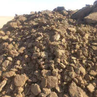 کود گوسفندی درجه یک|خدمات باغبانی و درختکاری|جرقویه, |دیوار