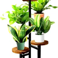 استند گل پایه گل