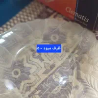 دیس وظرف پزیرایی