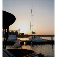 تشریفات|خدمات پذیرایی، مراسم|رشت, کاکتوس|دیوار