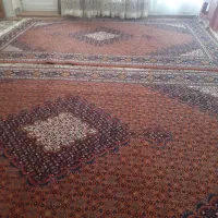 فرش دستبافت ۲تخته|فرش|مشگین شهر, |دیوار