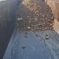 فروش کود مرغ