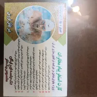 کارت استخر پیام مخابرات مخصوص بانوان
