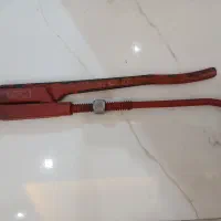 اچار شلاقی توسن