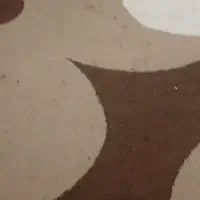 قالی 9متری|فرش|بوشهر, |دیوار