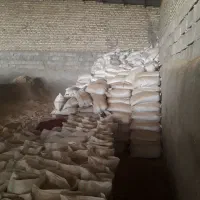 خریدار کاه گندم.کاه نخود.کاه عدس.کاه لوبیا