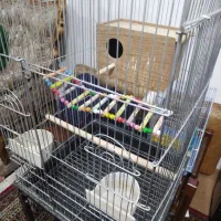 قفس کاسکویی بزرگ|لوازم جانبی حیوانات|سنندج, |دیوار