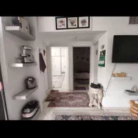 آپارتمان ۷۵متری شیک دو خوابه حرعاملی|فروش آپارتمان|مشهد, شهید مطهری|دیوار