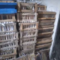 ۱۰حلب شهد عسل