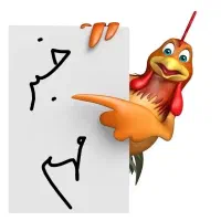 جشنواره فروش ویژه قـفـس آشیونه