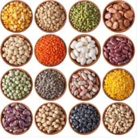 فروش حبوبات