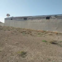 زمین ۳۰۰۰ متری