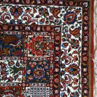 قالی دست بافت چالشتری|فرش|لاران, |دیوار