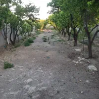 باغ ۷۶۰ متری درختان مثمر۱۰ ساله بلوار توس توس ۱۴۱|فروش خانه و ویلا|مشهد, دوست آباد|دیوار