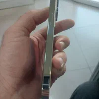 گوشی ۱۳ پرو حافظه ۲۵۶|موبایل|تهران, درختی|دیوار
