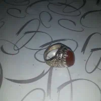 در نجف|کلکسیون اشیاء عتیقه|فردوس (خراسان), |دیوار