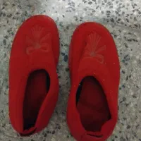 دمپای رو فرشی|کیف، کفش، کمربند|اراک, |دیوار