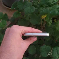 s21fe 5g زیر قیمت بازار ۳ ماه کارکرد|موبایل|رشت, معلم|دیوار