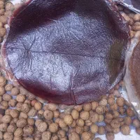 لواشک ترش و شیرین از میوه ها|خوردنی و آشامیدنی|تهران, ائمه اطهار|دیوار