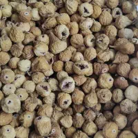 انجیر استهبان تازه