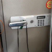 گاو صندوق نیکا