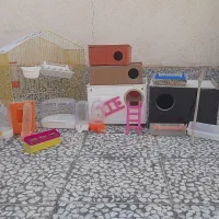 کبوتر|پرنده|بم, |دیوار