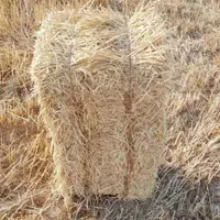 کاه گندم پرس  گاوداری عمده فروشی کشاورزی