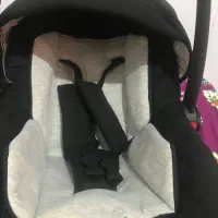 کریر دلیجان|کالسکه و لوازم جانبی|بابل, |دیوار