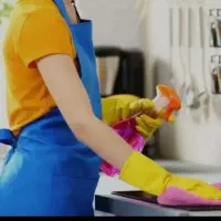 خانوم برای کارهای منزل