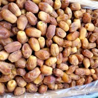 خرمازاهدی شیراز|خدمات باغبانی و درختکاری|زاهدان, |دیوار