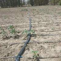 ابیاری قطره ای باغ ویلا لوله گذاری تعمیرات ویلا|خدمات باغبانی و درختکاری|تهران, استاد معین|دیوار